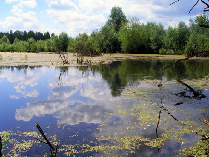 Картинки природы древней руси Картинки природы древней руси